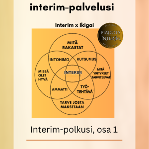 Pia Kiviranta -Rakenna oma interim-palvelusi eKirja