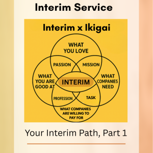 eBook: Build Your Own Interim Service - Pia Kiviranta